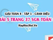 Giải bài 5 trang 37 Toán 8 Tập 1 SGK Cánh Diều